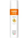 ODK Fruity Mix Melon Syrup 75cl